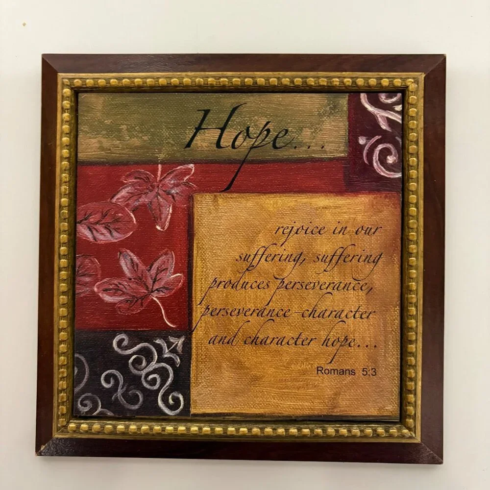 Hope Scripture Wood Framed Religious Wall Art Inspirational Home Decor